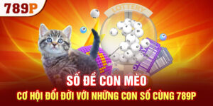 Số Đề Con Mèo - Cơ Hội Đổi Đời Với Những Con Số Cùng 789P