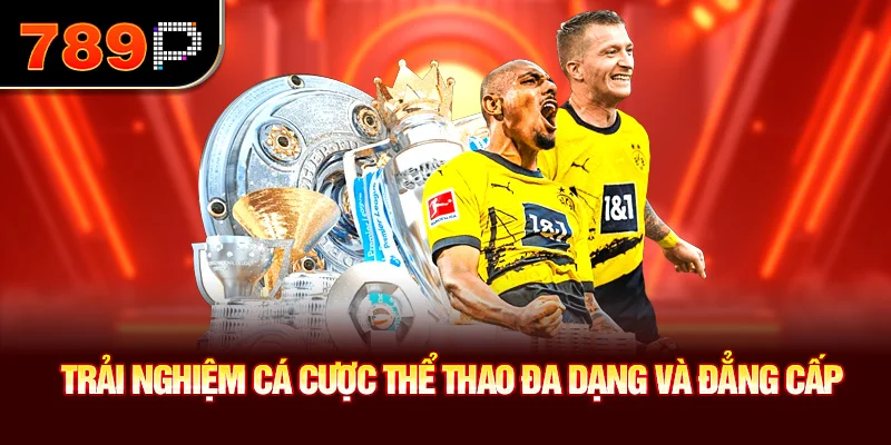 Trải nghiệm cá cược thể thao đa dạng và đẳng cấp